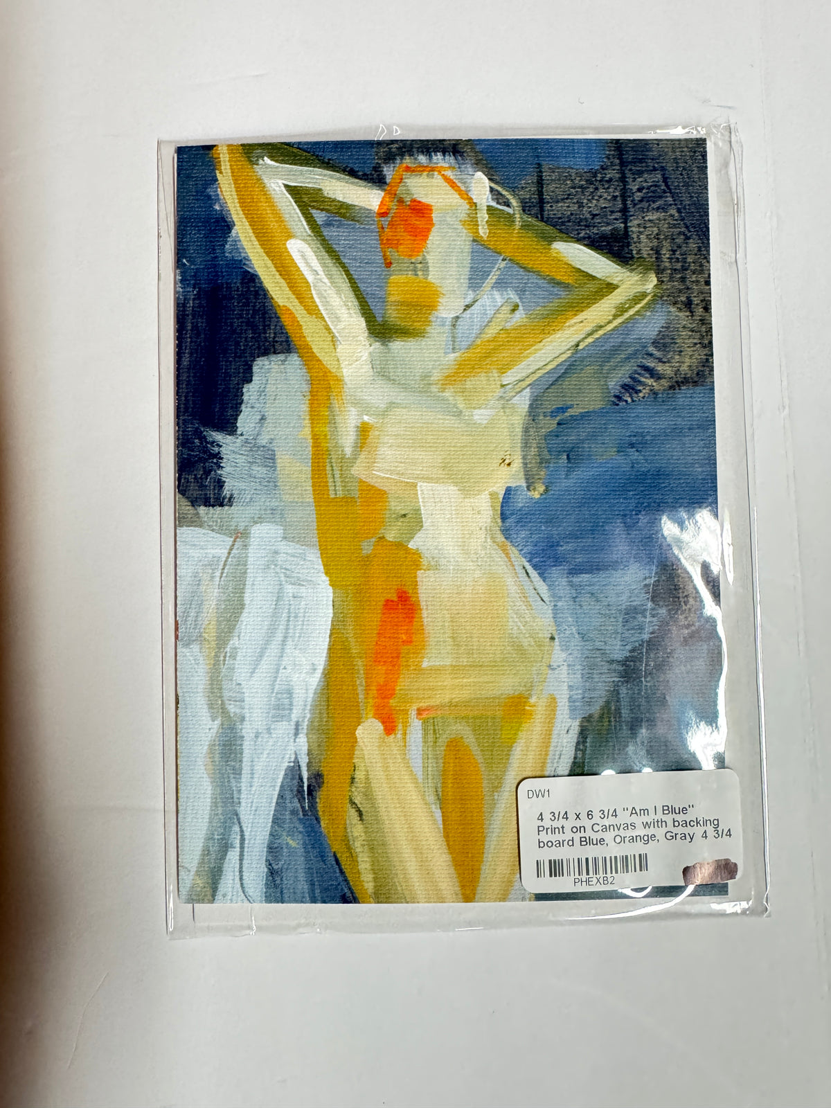 Am I blue 4.75x6.75 Fine Art Print on Canvas